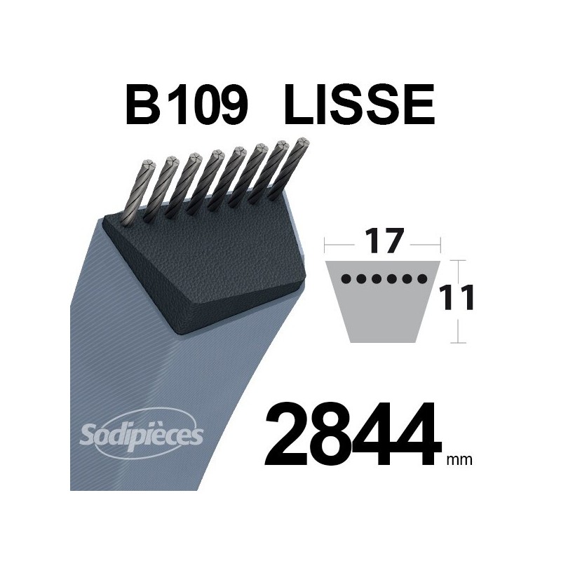 Courroie tondeuse B103 Trapézoïdale 13 mm x 2685 mm.