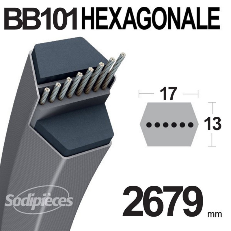 Courroie hexagonale BB101