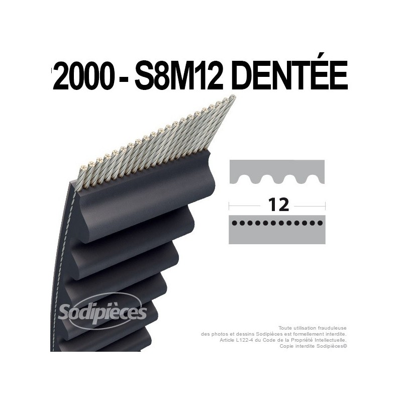 Courroie tondeuse 1200-S8M12 n° 9585-0135-01