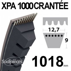 Courroie tondeuse XPA1180 Trapézoïdale crantée. 12,7 mm x 1180 mm.