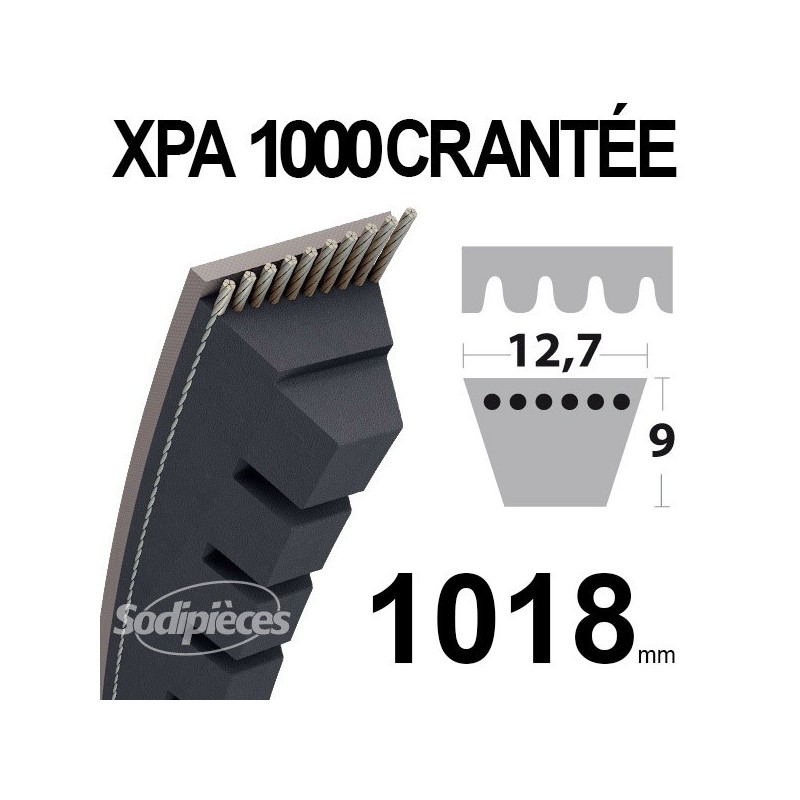 Courroie tondeuse XPA1180 Trapézoïdale crantée. 12,7 mm x 1180 mm.
