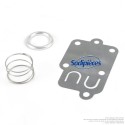 Membrane ressort joint pour Briggs et Stratton 270026