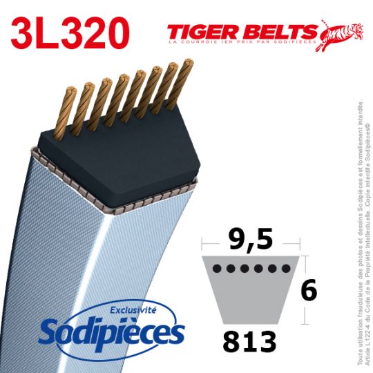 Courroie tondeuse 3L320 Tiger Belts. 9,5 mm x 813 m