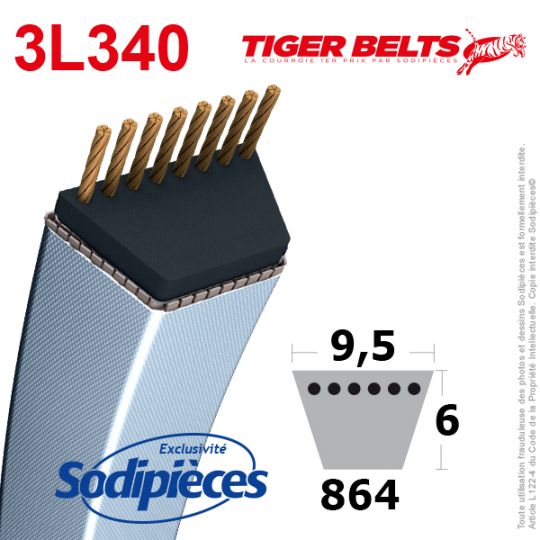 Courroie tondeuse 3L340 Tiger Belts. 9,5 mm x 864 m