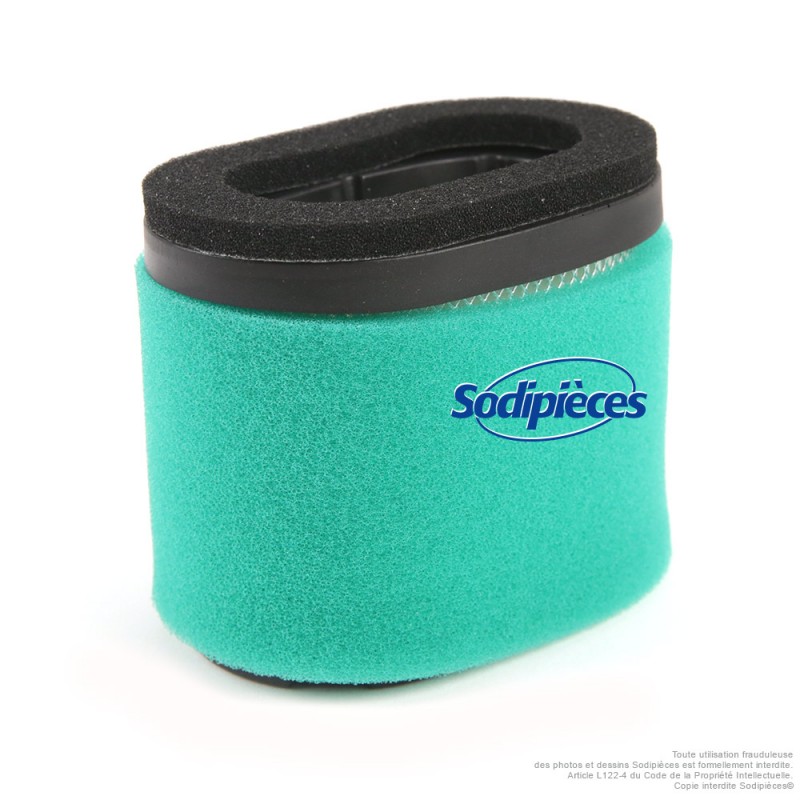 Filtre à air pour Briggs & Stratton Intek 121600 series