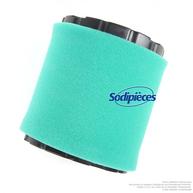 Filtre à air pour Briggs & Stratton 44M977 44P977 44Q977 49L977 49M977 Filtre à air pour Briggs & Stratton 44M977 44P977 44Q977 49L977 49M977