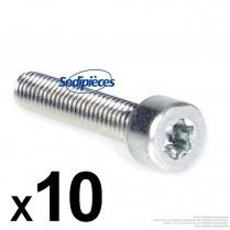 10 Vis Torx 27 M6 x 30 pour...