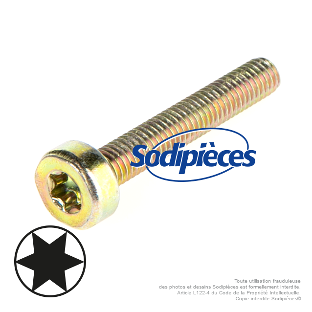 Vis Torx 27 M5 x 30 Vis Torx 27 M5 x 30