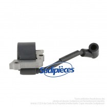 module allumage pour...