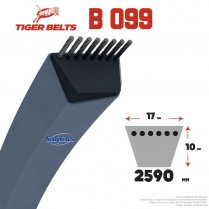 Courroie B099 Tiger Belt....