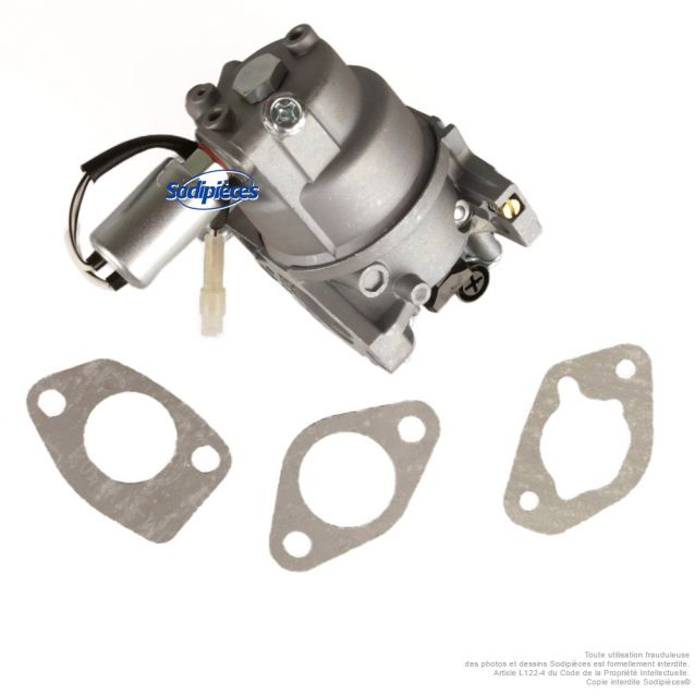 Carburateur pour moteur MTD 7T84HWA – 382 cc