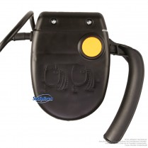 Interrupteur à levier