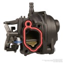 Carburateur pour Briggs & Stratton 09P700 591109
