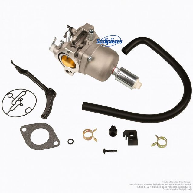 Carburateur pour Briggs & Stratton OHV AVS
