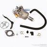 Carburateur pour Briggs & Stratton OHV AVS