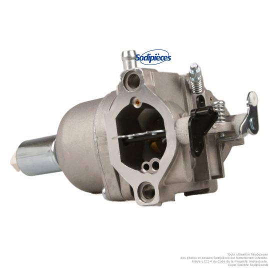 Carburateur pour Briggs & Stratton OHV AVS