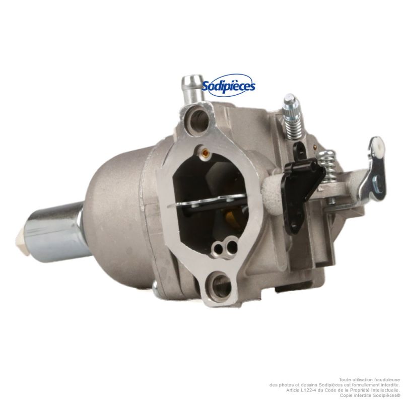 Carburateur pour Briggs & Stratton OHV AVS