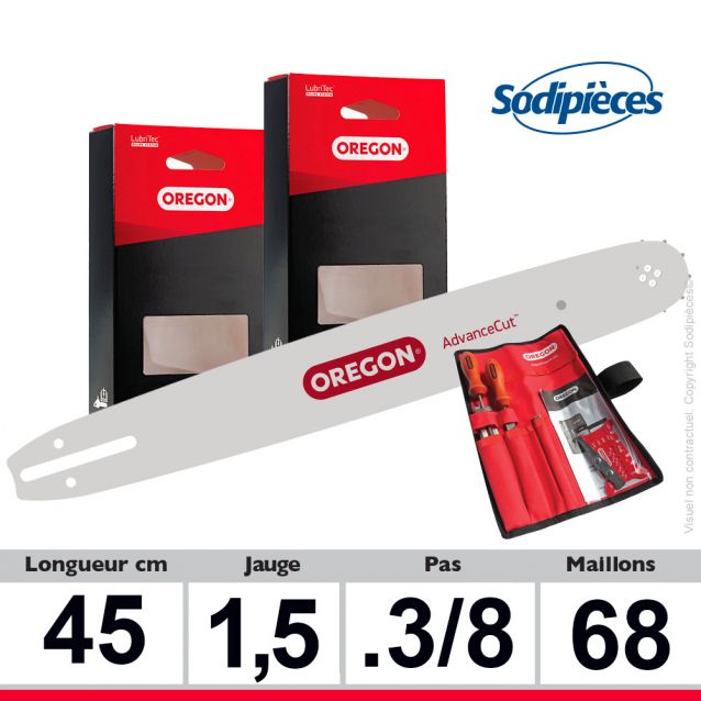 Kit Oregon Forestier pro : 3/8" VERSACUT 45 cm 68 maillons - 654284 Kit Oregon Forestier pro : 3/8" VERSACUT 45 cm 68 maillons - 654284