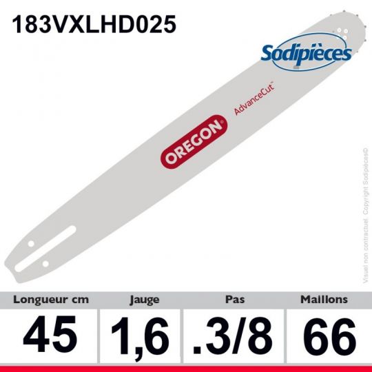Kit Oregon Forestier pro : 3/8" VERSACUT 45 cm 66 maillons - 654285