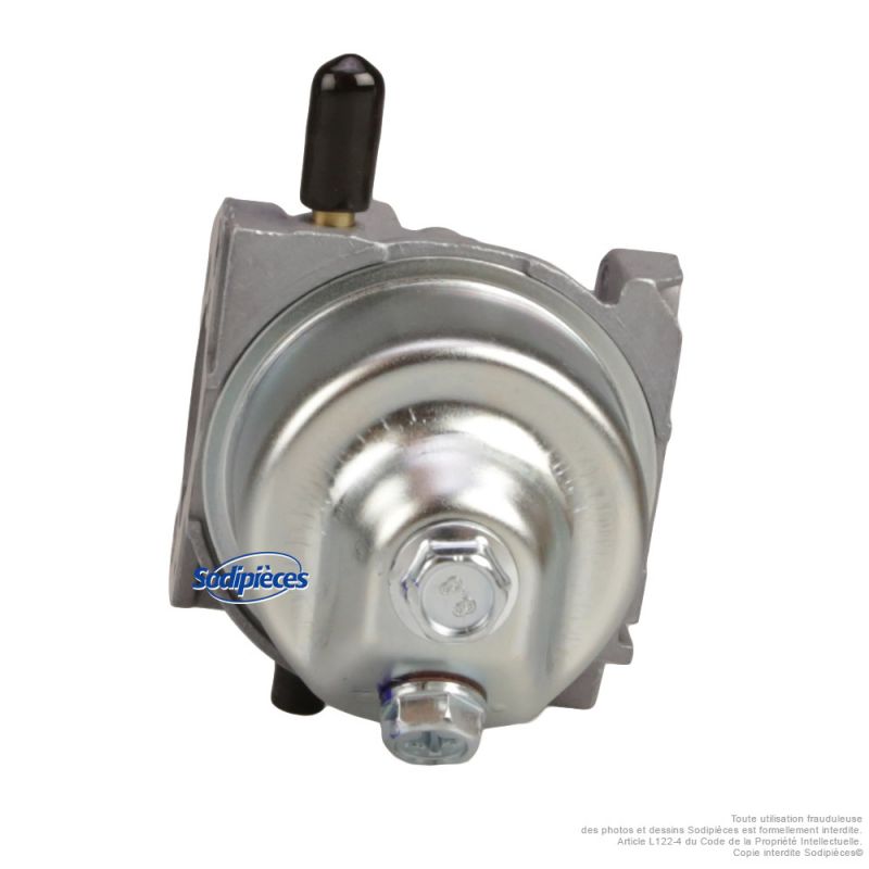 Carburateur complet pour moteur RV210-S