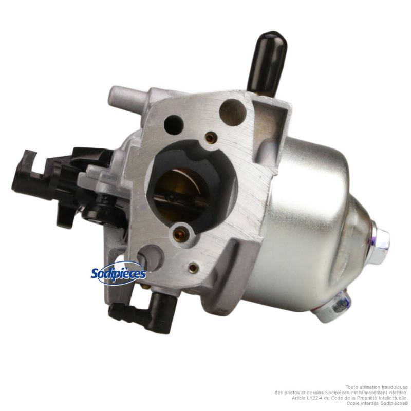Carburateur complet pour moteur RV210-S