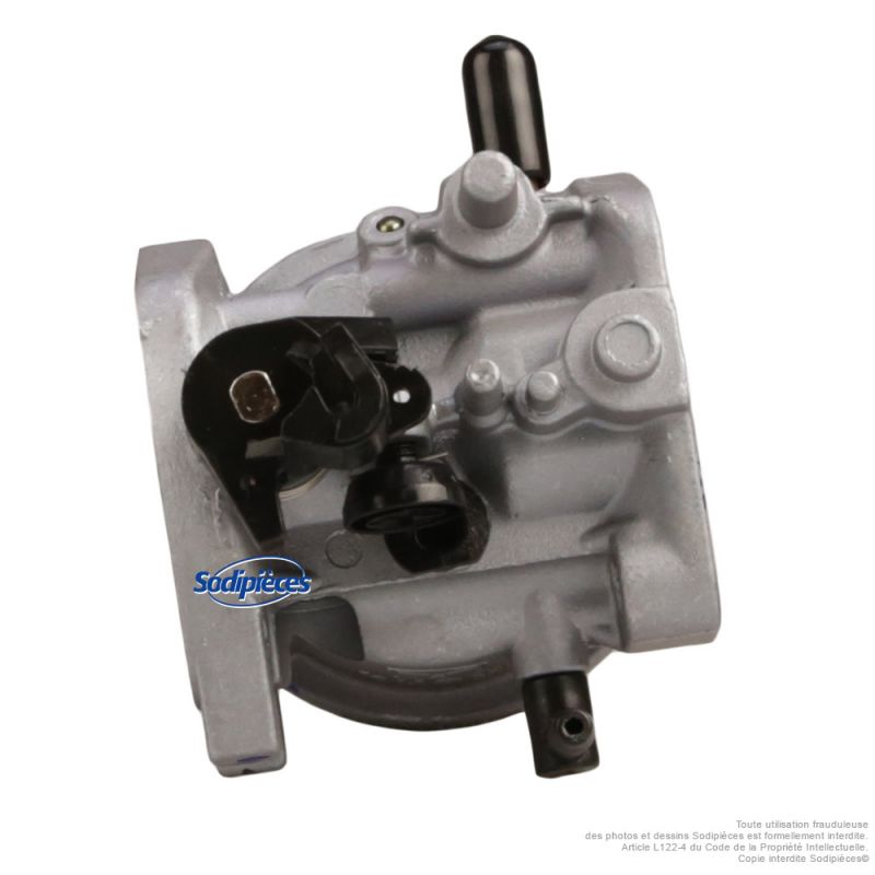 Carburateur complet pour moteur RV210-S