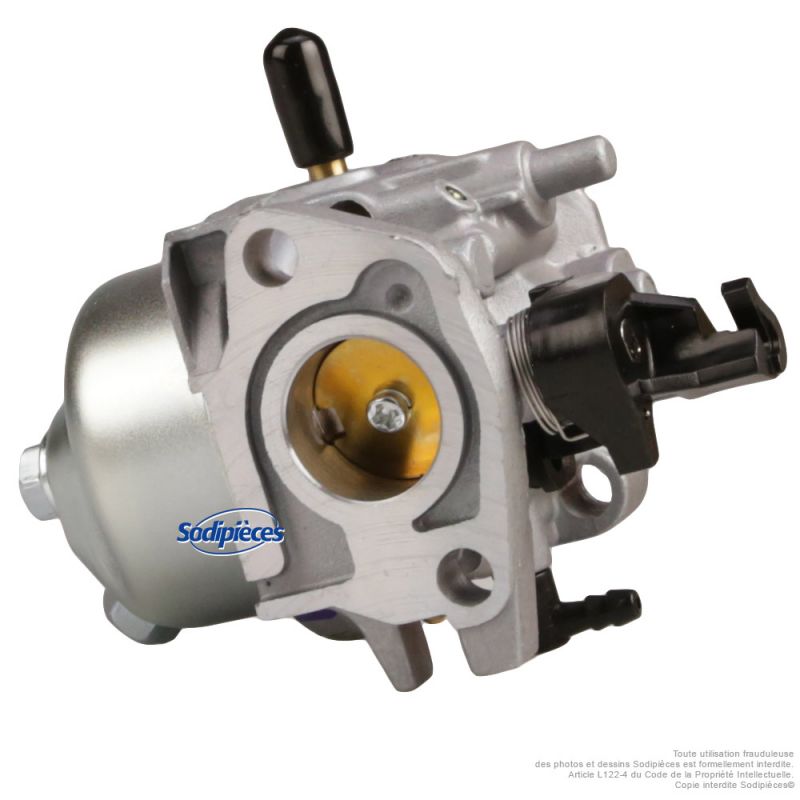 Carburateur complet pour moteur RV210-S