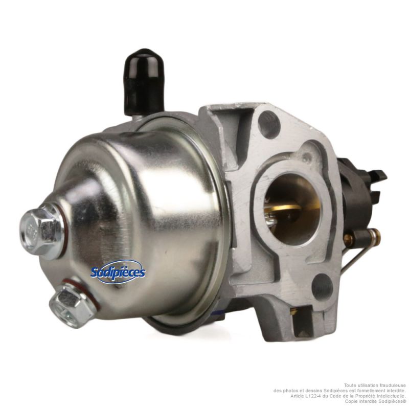 Carburateur adaptable pour moteur RV170-S