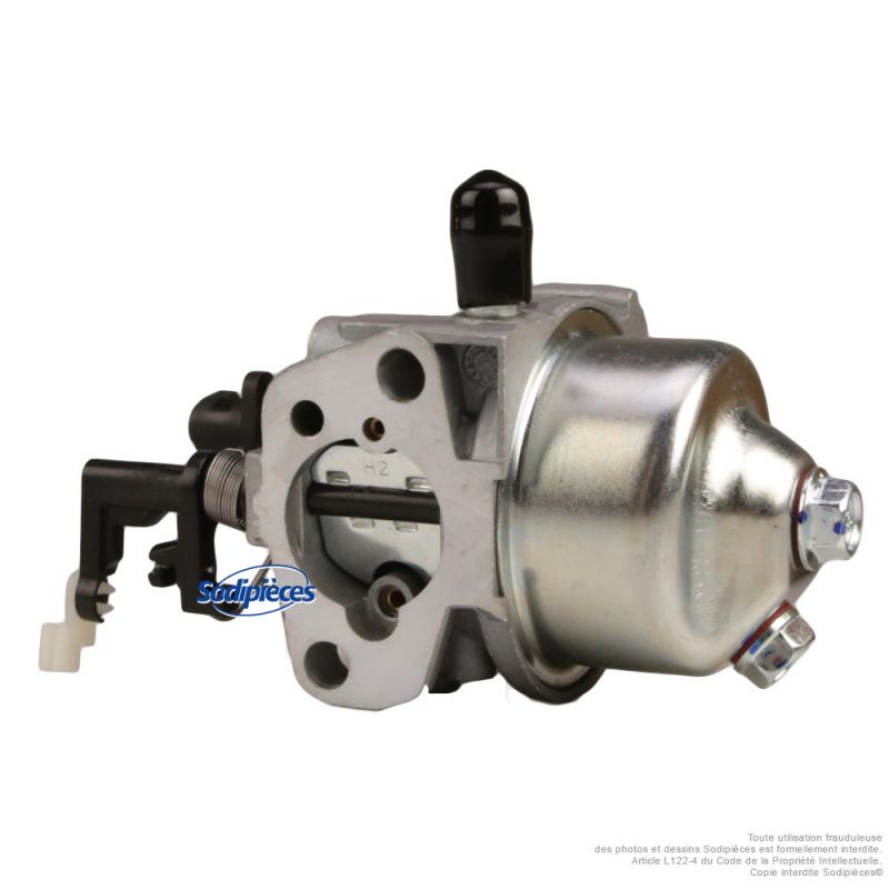 Carburateur adaptable pour moteur RV170-S