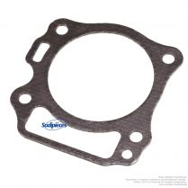 Joint de culasse haute résistance pour moteur RV170-S