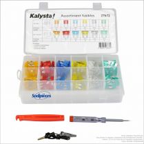 Assortiment de fusibles avec testeur et pinces