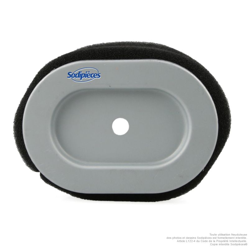 Filtre à air adaptable pour Briggs & Stratton 796970 – moteur série 550