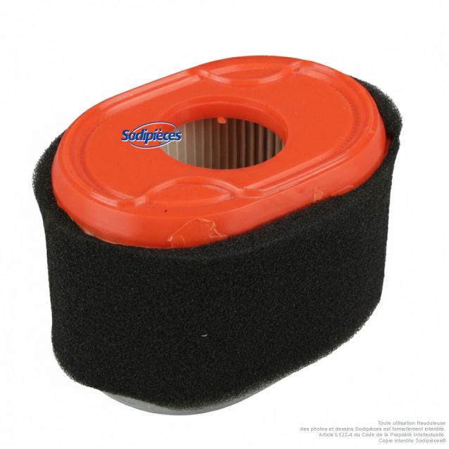 Filtre à air adaptable pour Briggs & Stratton 796970 – moteur série 550
