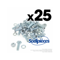 25 boulons Ø 8 mm x 25 mm.