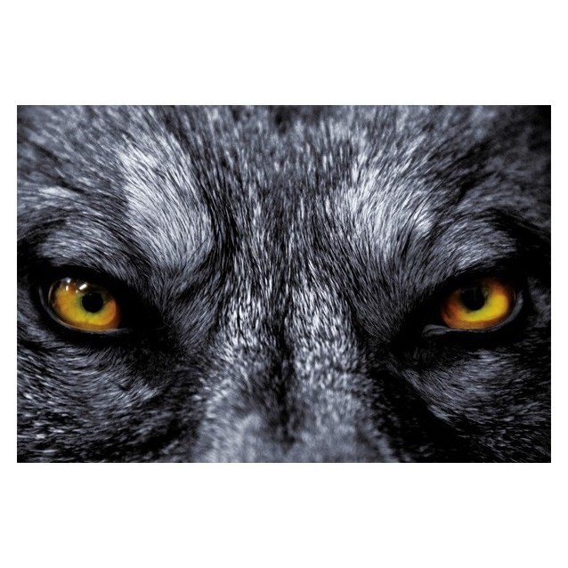 Guide+chaine 35cm,3/8"LP