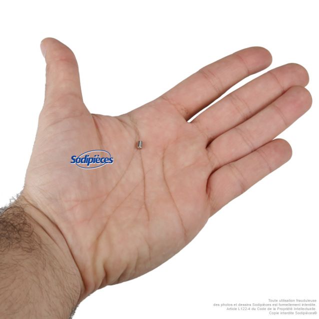 Aimant de déclenchement pour sécateur électrique KERWOOD 73981