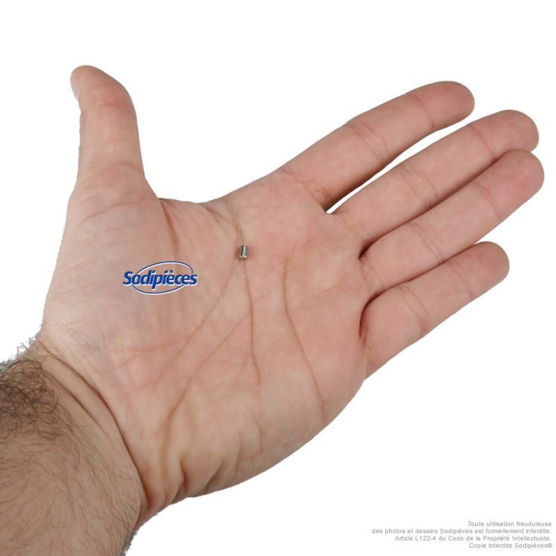 Aimant de déclenchement pour sécateur électrique KERWOOD 73981