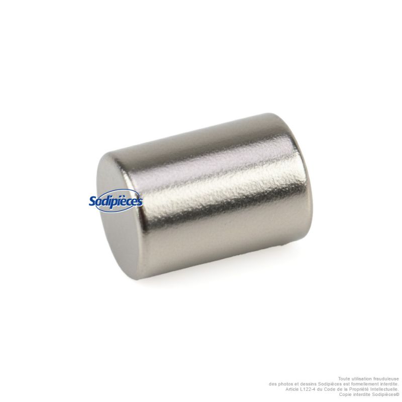 Aimant de déclenchement pour sécateur électrique KERWOOD 73981