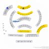 Kit balance Tecomec K00200333 pour affûteuse de chaîne