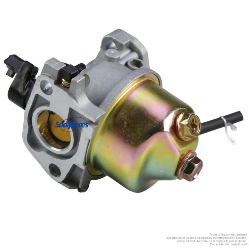 Carburateur de remplacement DAYE 2100201828 pour Sterwins PLM1-40Z130.6