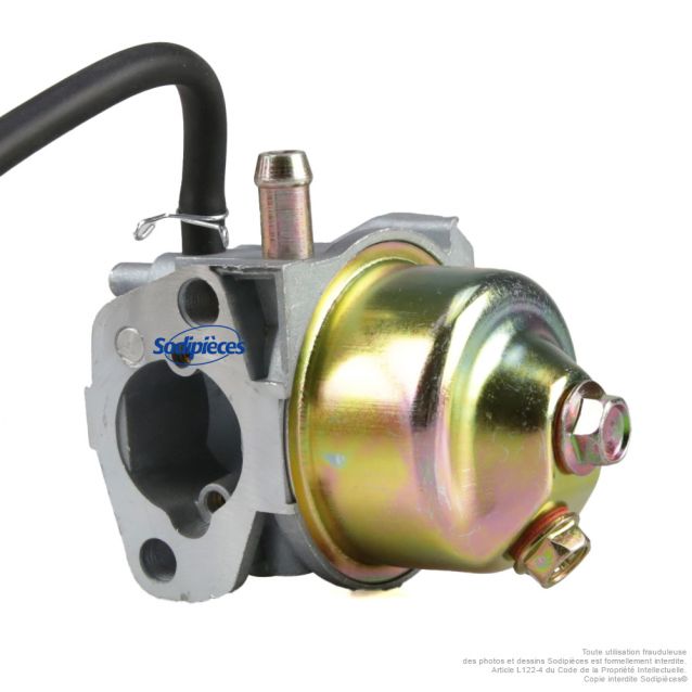 Carburateur de remplacement DAYE 2100201828 pour Sterwins PLM1-40Z130.6