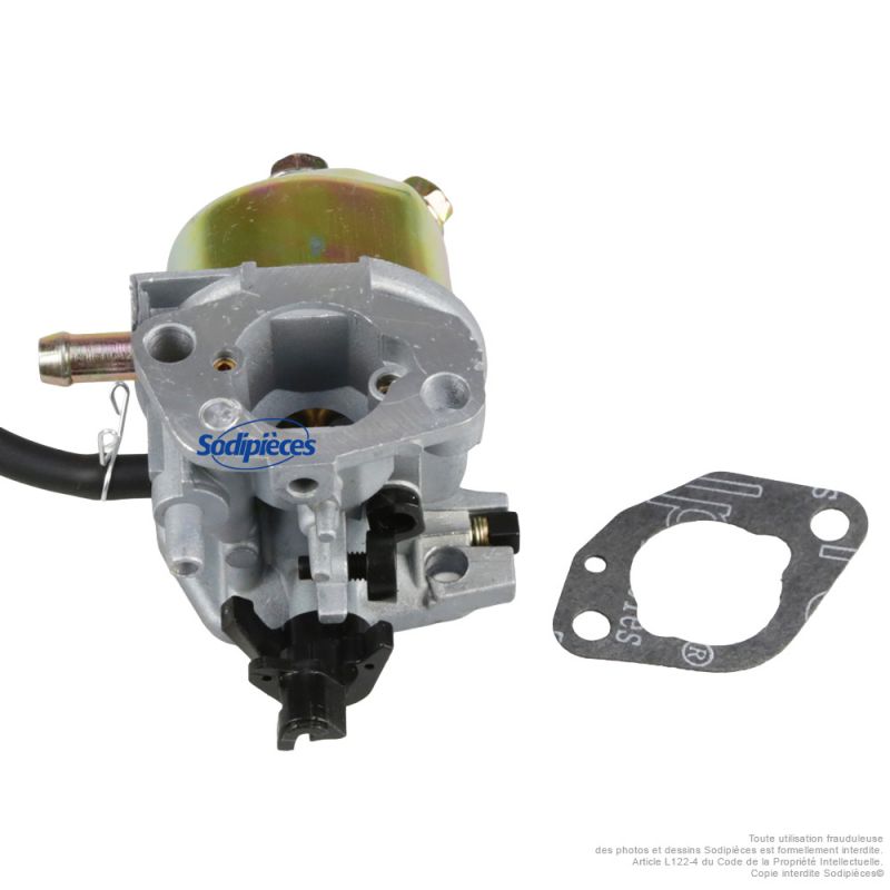 Carburateur de remplacement DAYE 2100201828 pour Sterwins PLM1-40Z130.6