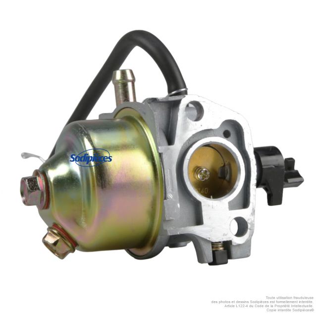 Carburateur de remplacement DAYE 2100201828 pour Sterwins PLM1-40Z130.6